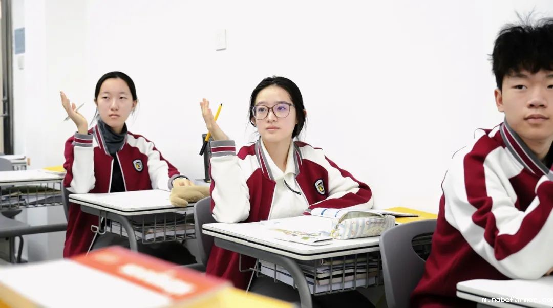 学生活动｜社团招新活力全开！