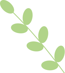 竞赛介绍｜2025春季国际理科竞赛之数学