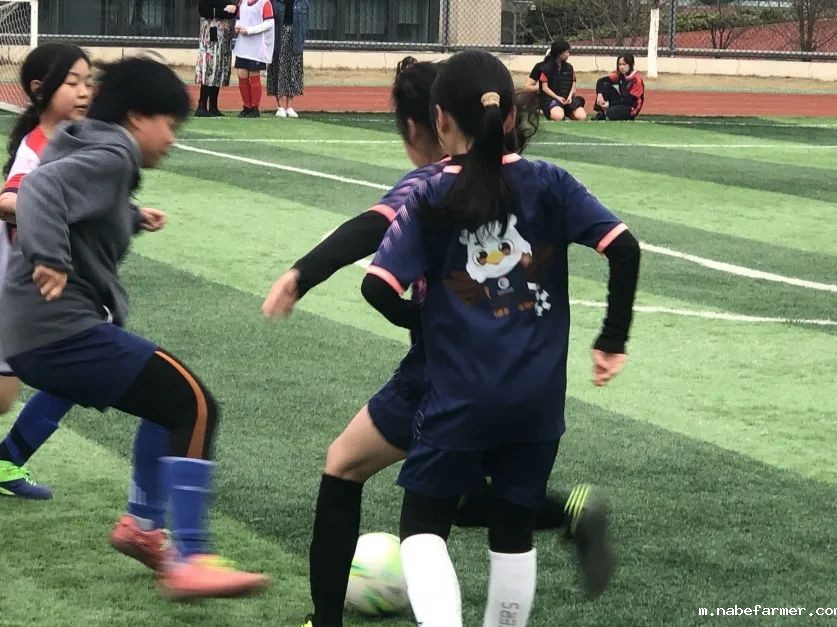 How do MISers learn and live丨3月第三周，MIS的学生如何学习和生活？