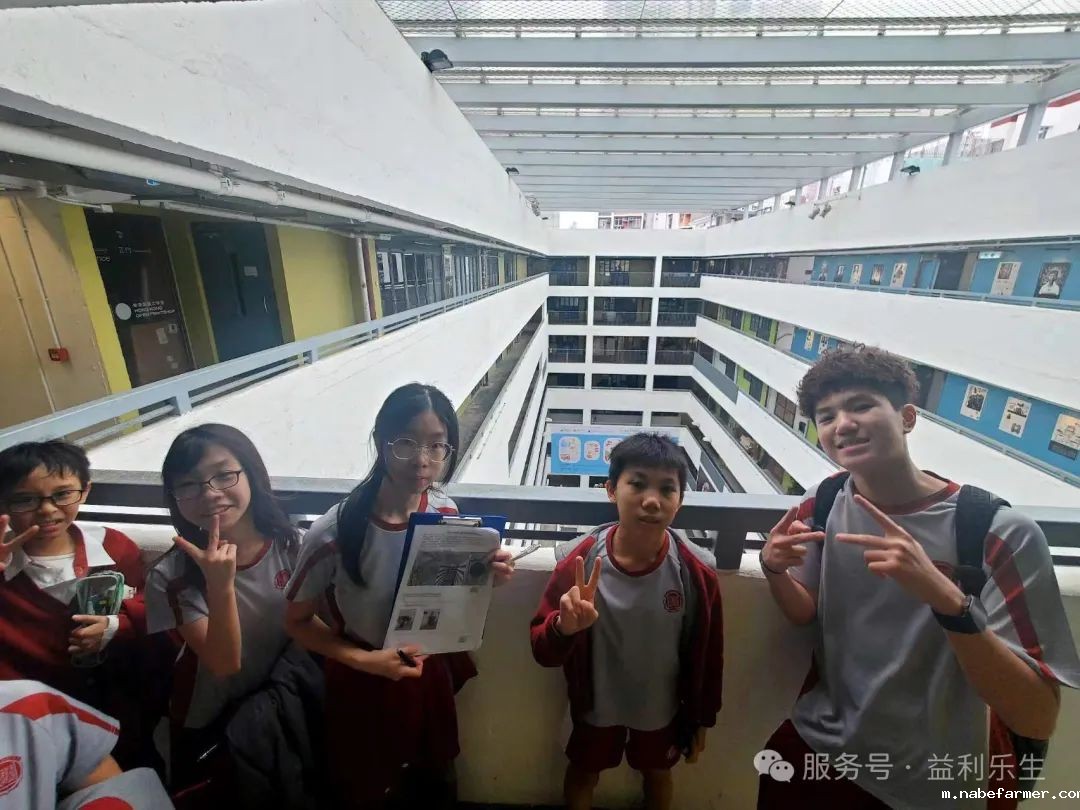 漢鼎課｜探索深水埗·樂學成長——漢鼎書院Y7-Y10學生城市定向探索活動紀實