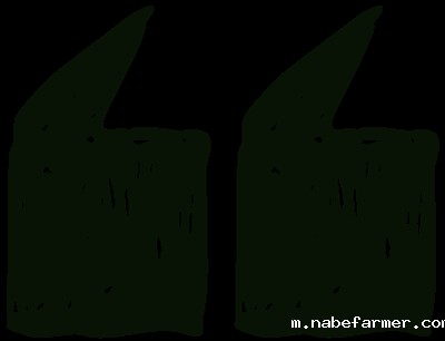 竞赛介绍｜2025春季国际理科竞赛之数学