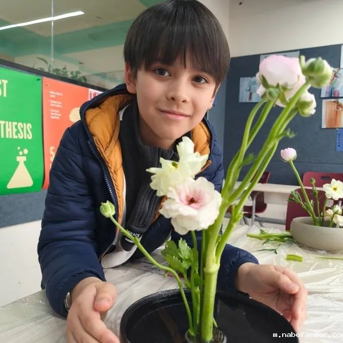 How do MISers learn and live丨3月第三周，MIS的学生如何学习和生活？