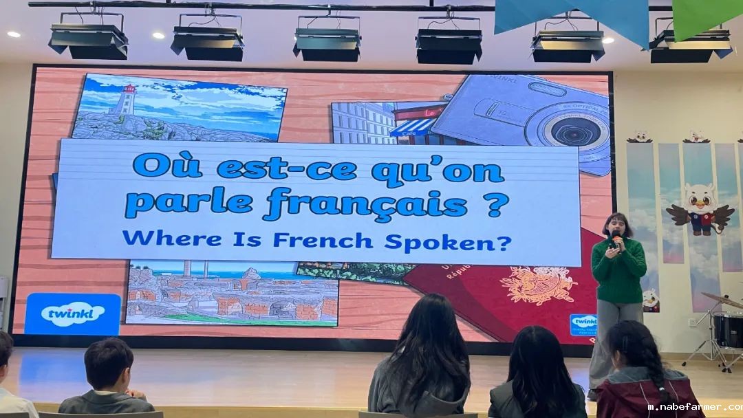 How do MISers learn and live丨3月第三周,MIS的学生如何学习和生活?