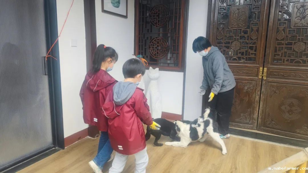 How do MISers learn and live丨3月第三周，MIS的学生如何学习和生活？