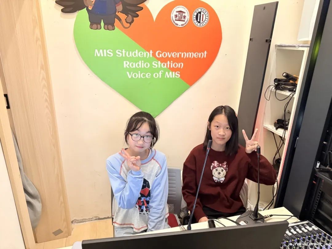 How do MISers learn and live丨3月第三周,MIS的学生如何学习和生活?