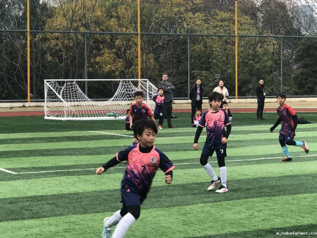 How do MISers learn and live丨3月第三周，MIS的学生如何学习和生活？