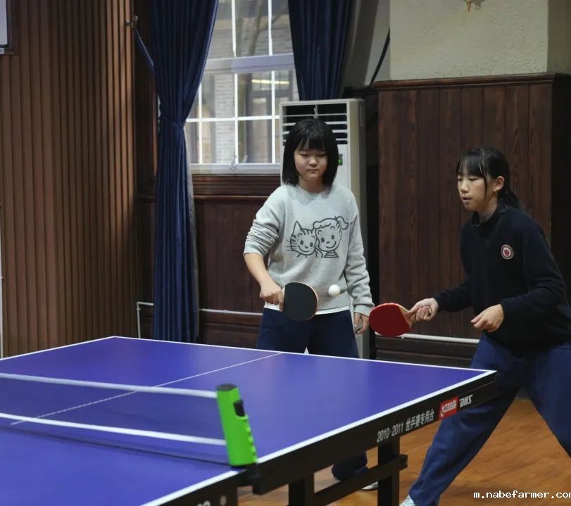 【CISA战报】乒乓球双打锦标赛，巅峰之战一触即发，我校学子再度问鼎冠军！