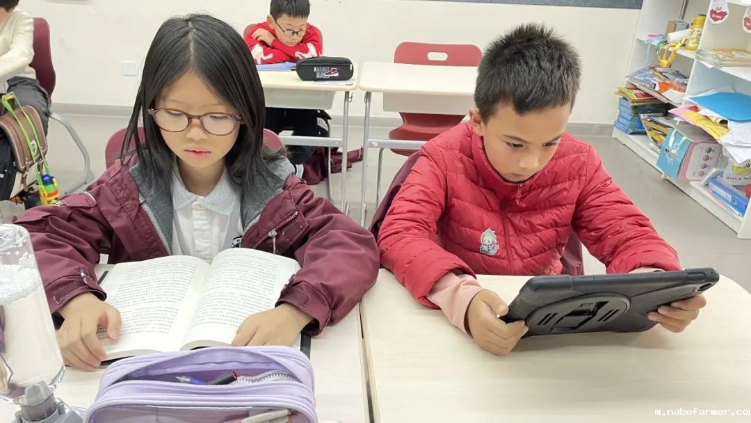 How do MISers learn and live丨3月第三周，MIS的学生如何学习和生活？