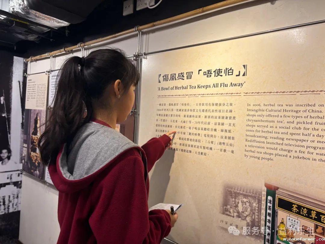 漢鼎課｜探索深水埗·樂學成長——漢鼎書院Y7-Y10學生城市定向探索活動紀實