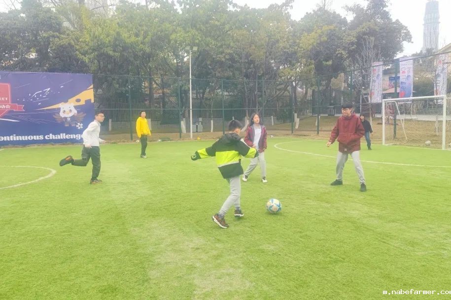 How do MISers learn and live丨3月第三周，MIS的学生如何学习和生活？