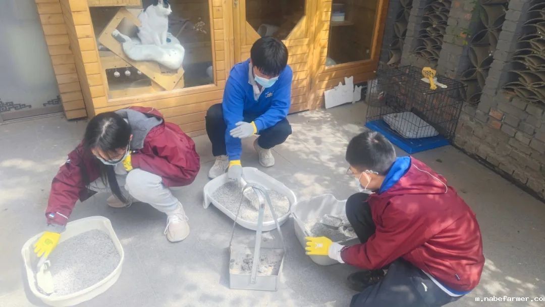 How do MISers learn and live丨3月第三周，MIS的学生如何学习和生活？