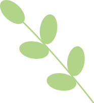 竞赛介绍｜2025春季国际理科竞赛之数学