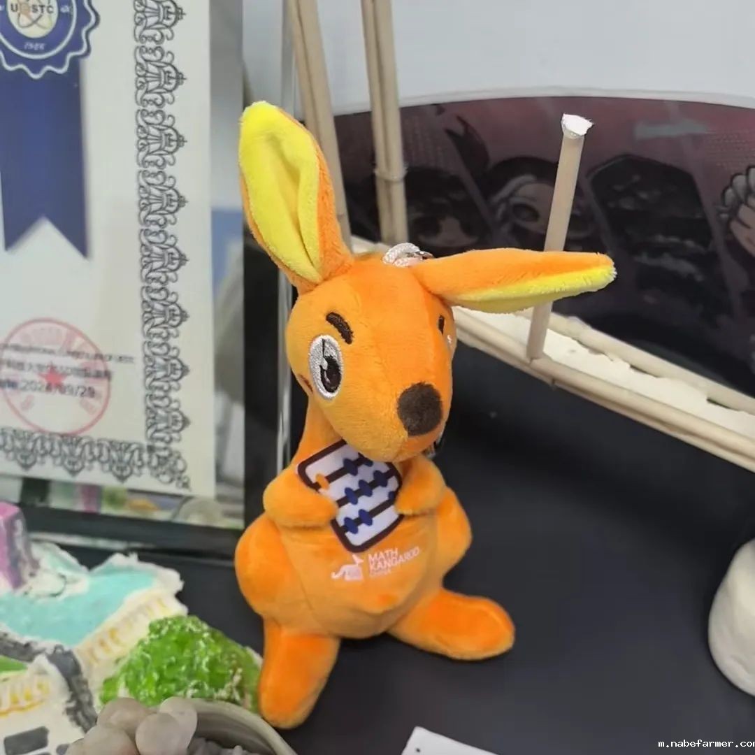 竞赛介绍｜2025春季国际理科竞赛之数学