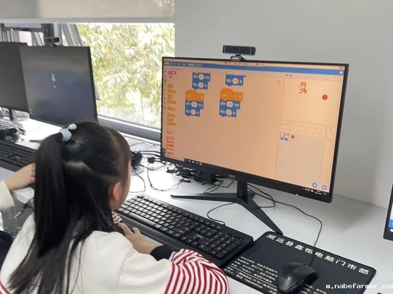 How do MISers learn and live丨3月第三周，MIS的学生如何学习和生活？