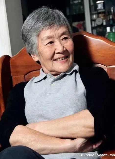 以爱为名，唤醒教育的种子
