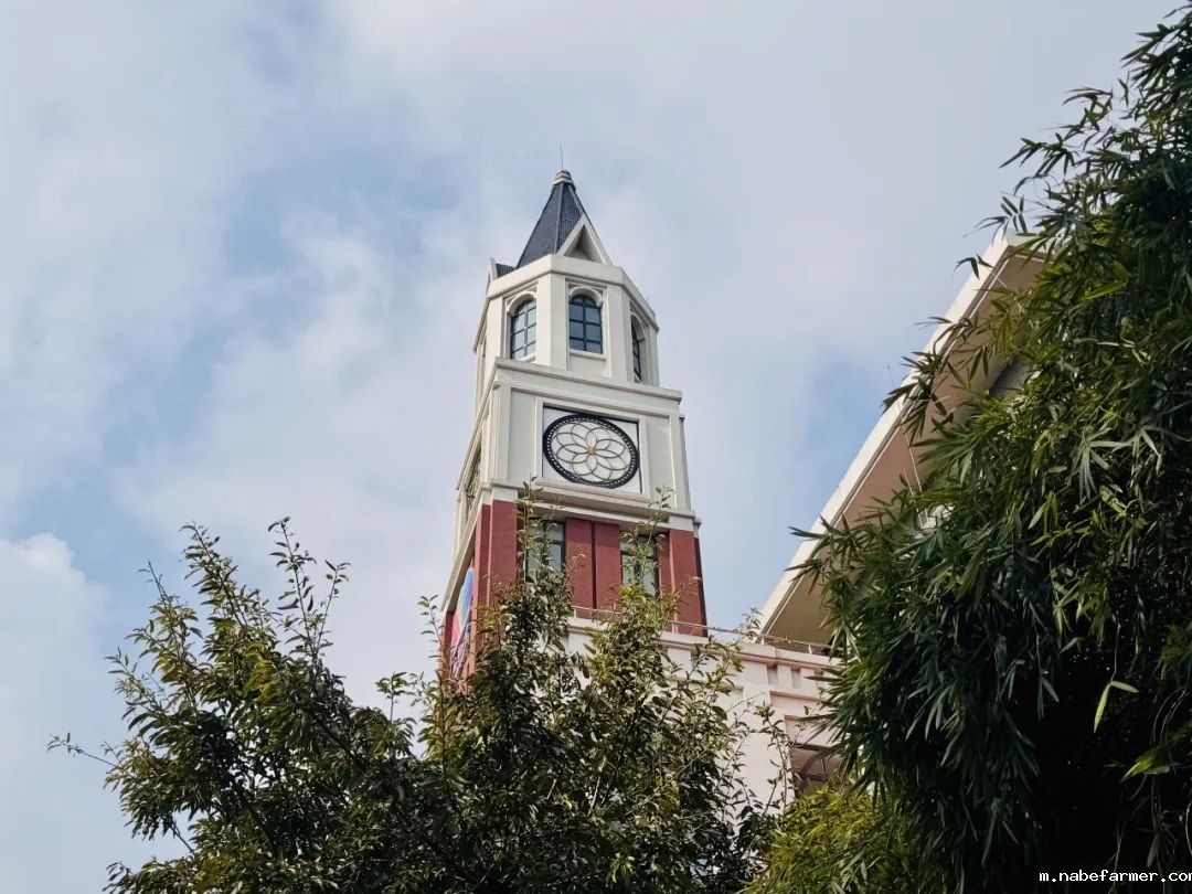 在读生分享会 | 高三学霸：斩获多封世界名校录取，我是怎么做的？