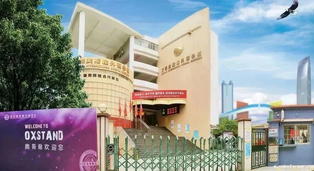 【奥斯翰】华侨港澳台高中课程2025年秋季招生公告