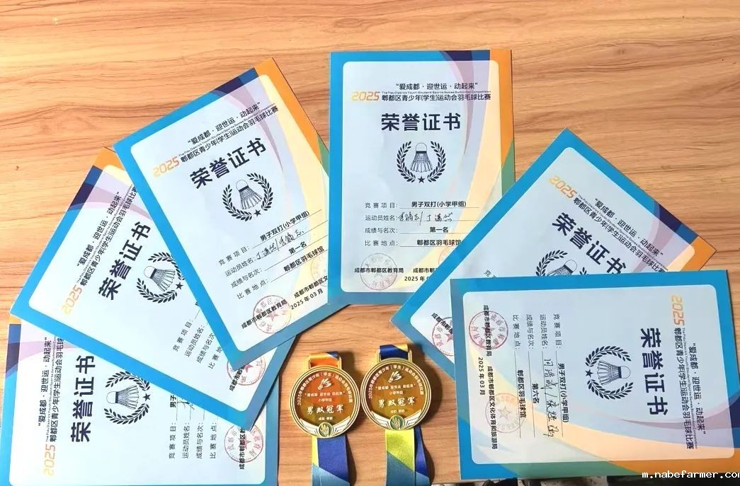 多元课程丨羽球飞扬，梦想启航