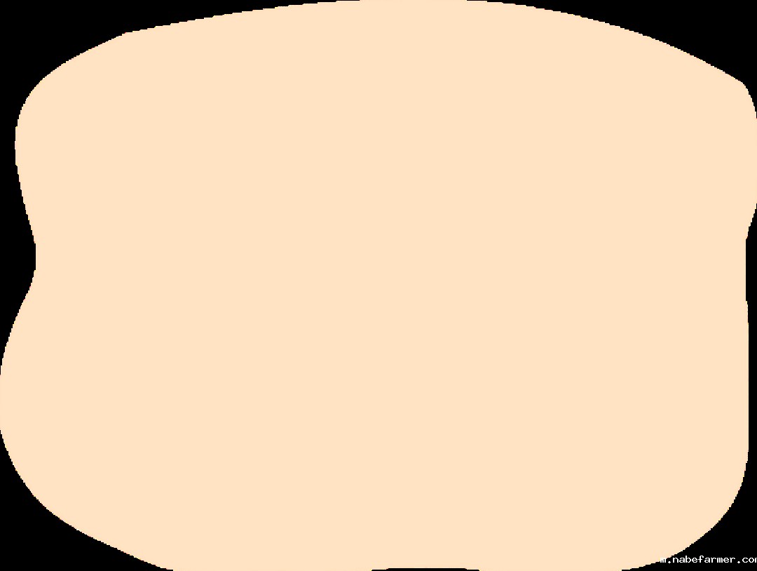 在读生分享会 | 高三学霸：斩获多封世界名校录取，我是怎么做的？