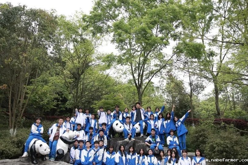 在读生分享会 | 高三学霸：斩获多封世界名校录取，我是怎么做的？