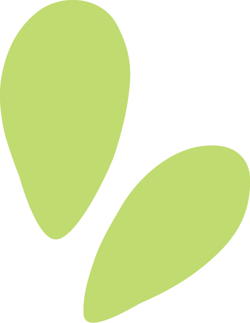 必看！2025 下半年雅思考位公布，抢占先机正当时