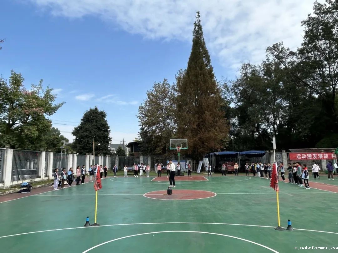 小学体育组 | 全能金牌教练，打造孩子受益终身的成长基石