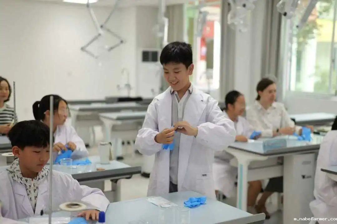 开创双赢升学新路径-为明国际部GTP融合实验班太香了！