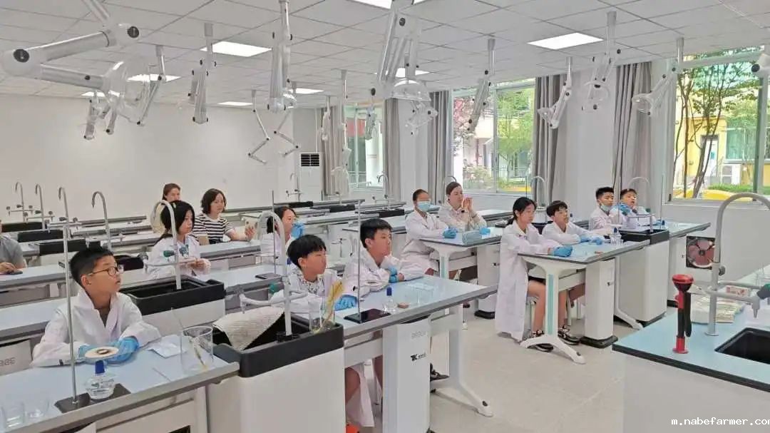 开创双赢升学新路径-为明国际部GTP融合实验班太香了！
