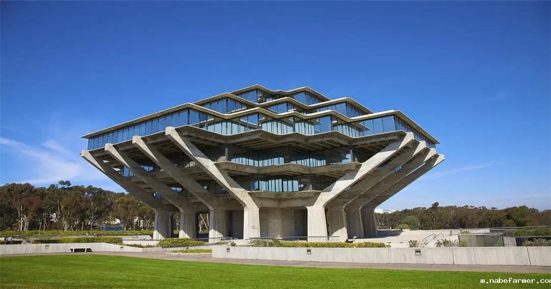 沃顿公学2025年全球录取捷报