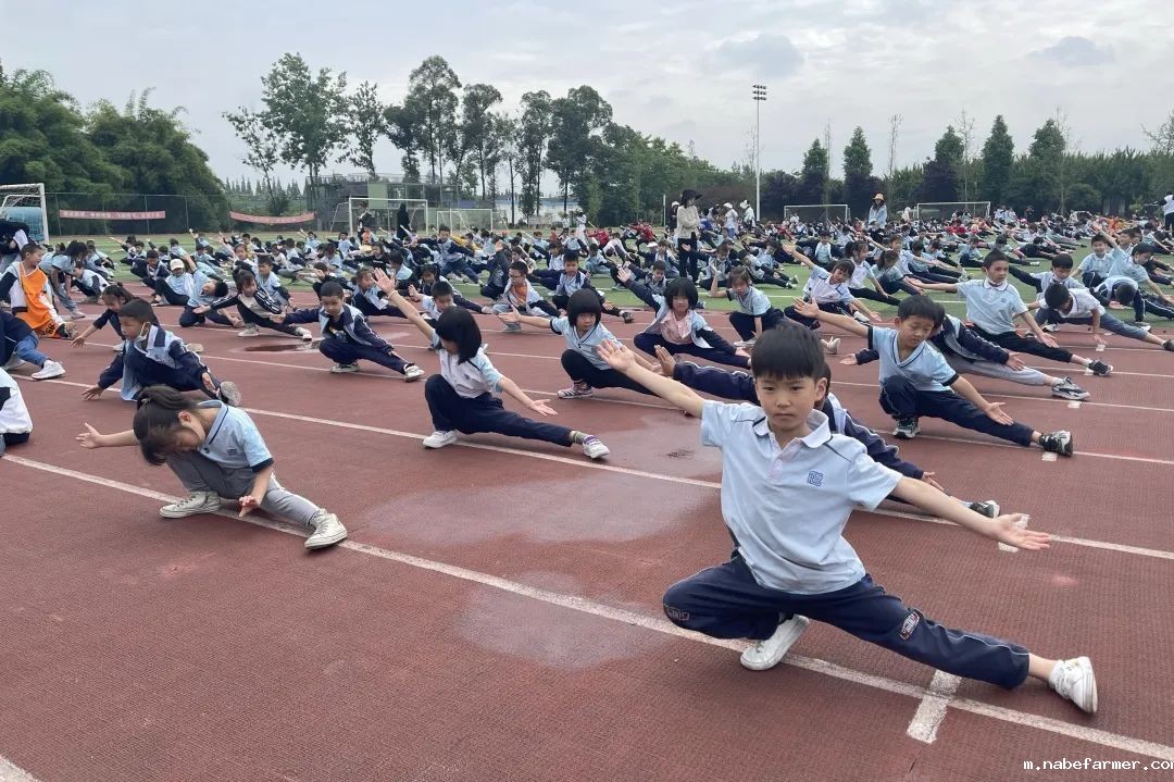 小学体育组 | 全能金牌教练，打造孩子受益终身的成长基石