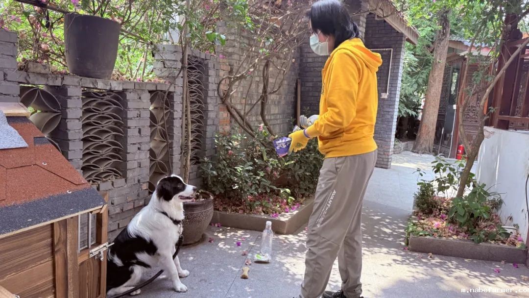 How do MISers learn and live丨6月第一周，MIS的学生如何学习和生活？