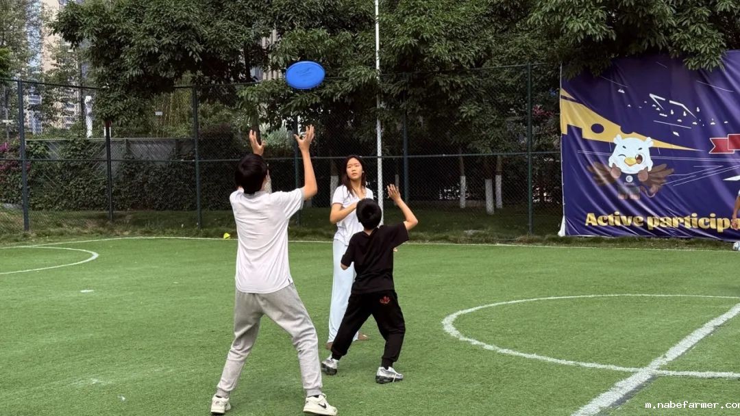 How do MISers learn and live丨6月第一周，MIS的学生如何学习和生活？