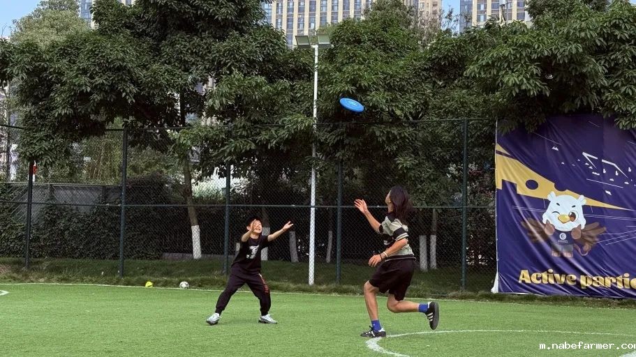 How do MISers learn and live丨6月第一周，MIS的学生如何学习和生活？