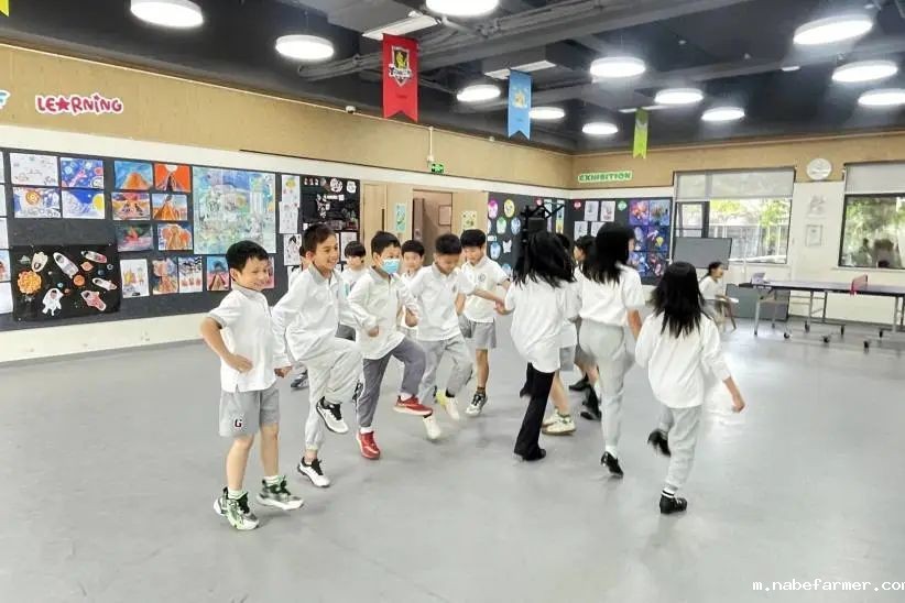 How do MISers learn and live丨6月第一周，MIS的学生如何学习和生活？