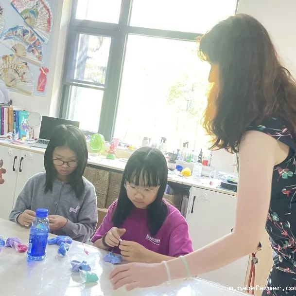 How do MISers learn and live丨6月第一周，MIS的学生如何学习和生活？