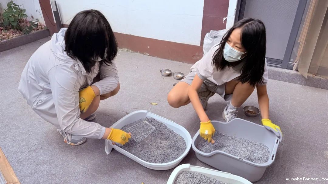 How do MISers learn and live丨6月第一周，MIS的学生如何学习和生活？