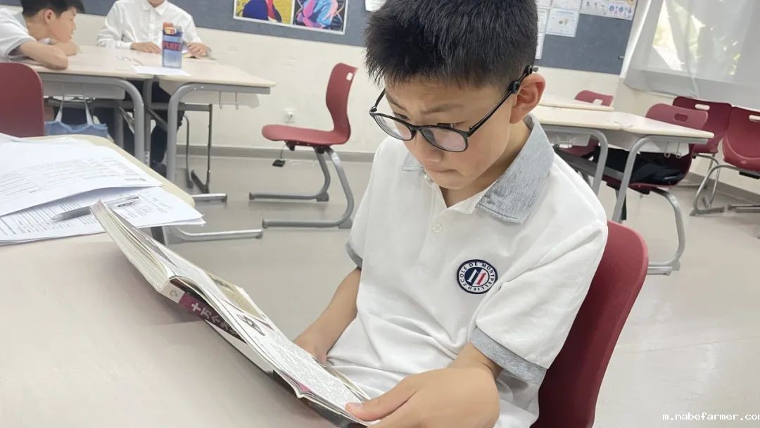 How do MISers learn and live丨6月第一周，MIS的学生如何学习和生活？