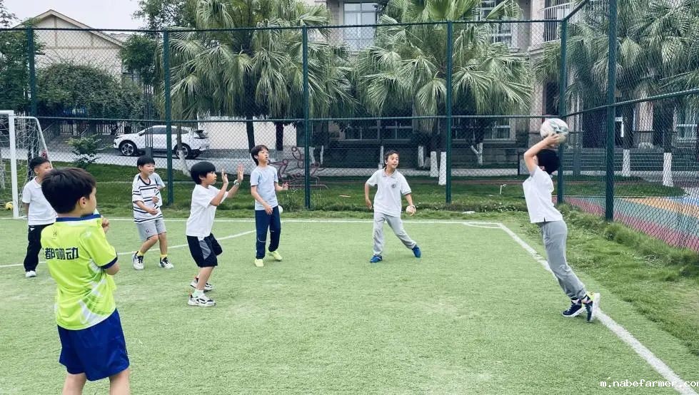 How do MISers learn and live丨6月第一周，MIS的学生如何学习和生活？