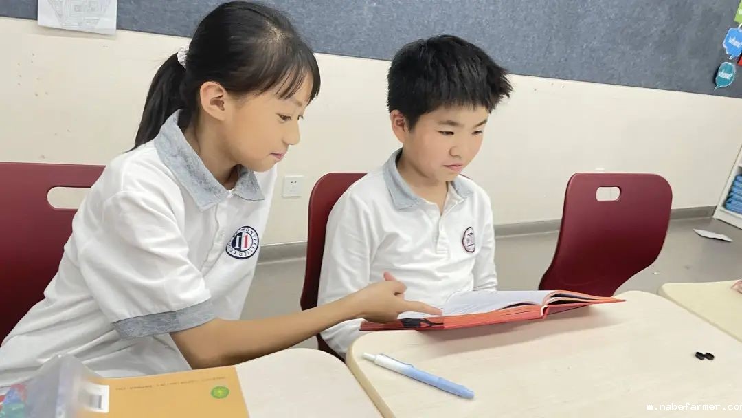 How do MISers learn and live丨6月第一周，MIS的学生如何学习和生活？