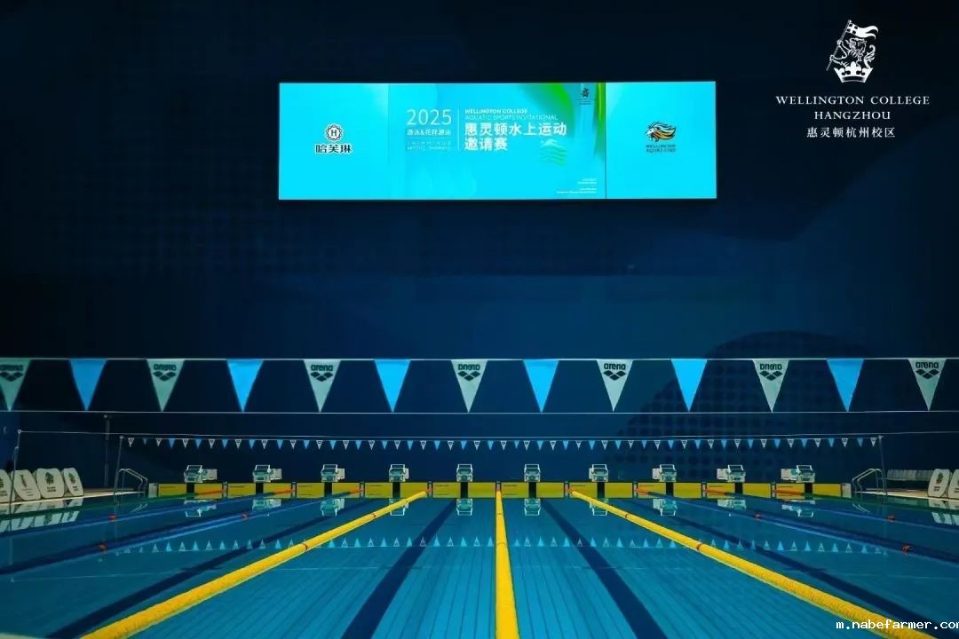 奥运级场馆+国际学校水上全明星赛！2025惠灵顿水上运动邀请赛圆满落幕