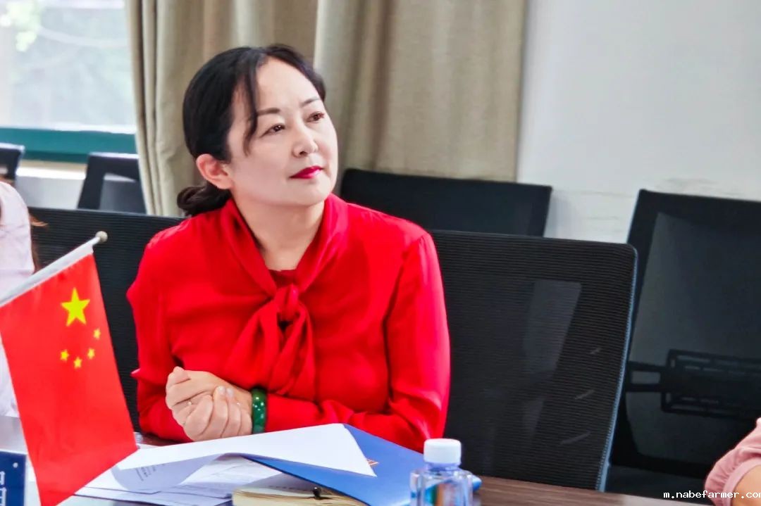 中外人文交流丨我校与英国圣菲利克斯学校缔结姊妹校