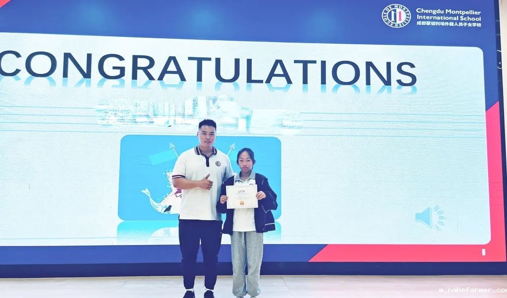 How do MISers learn and live丨6月第一周，MIS的学生如何学习和生活？