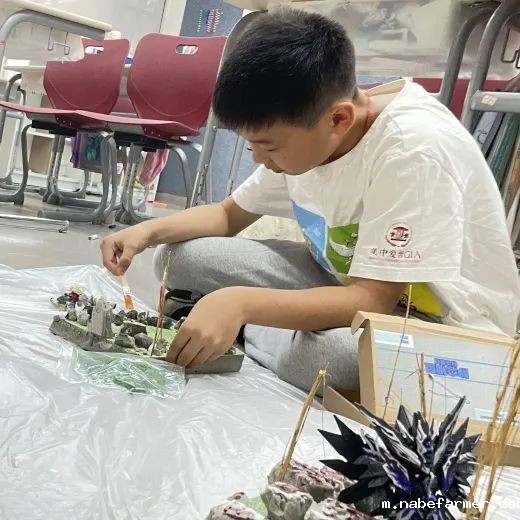 How do MISers learn and live丨6月第一周，MIS的学生如何学习和生活？