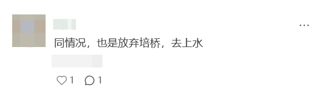 赌不起！大批港籍家庭从培侨退学，发生了什么？
