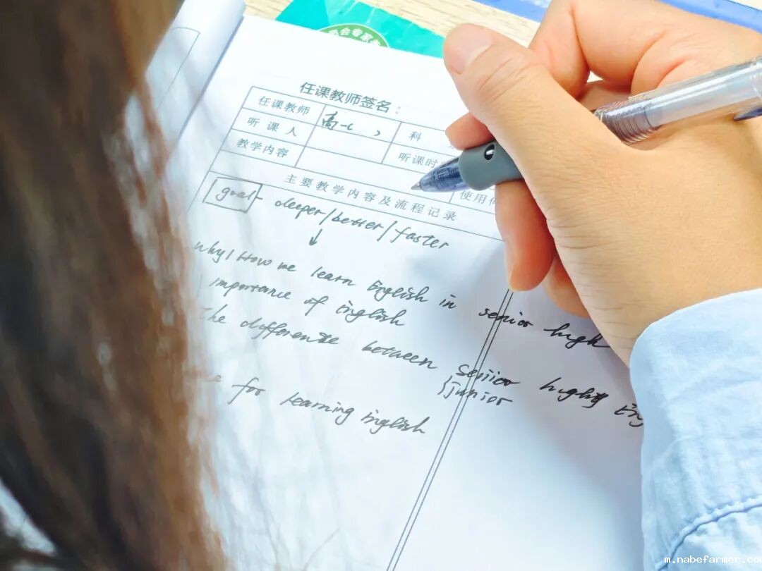 以党建引领铸魂，以AI赋能启智，以实干落实育人