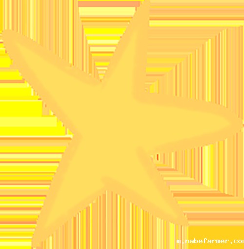 我们开学啦！执青春之笔，书写梦想新程