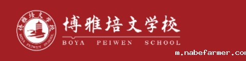 惠州大亚湾区博雅培文实验学校ICC